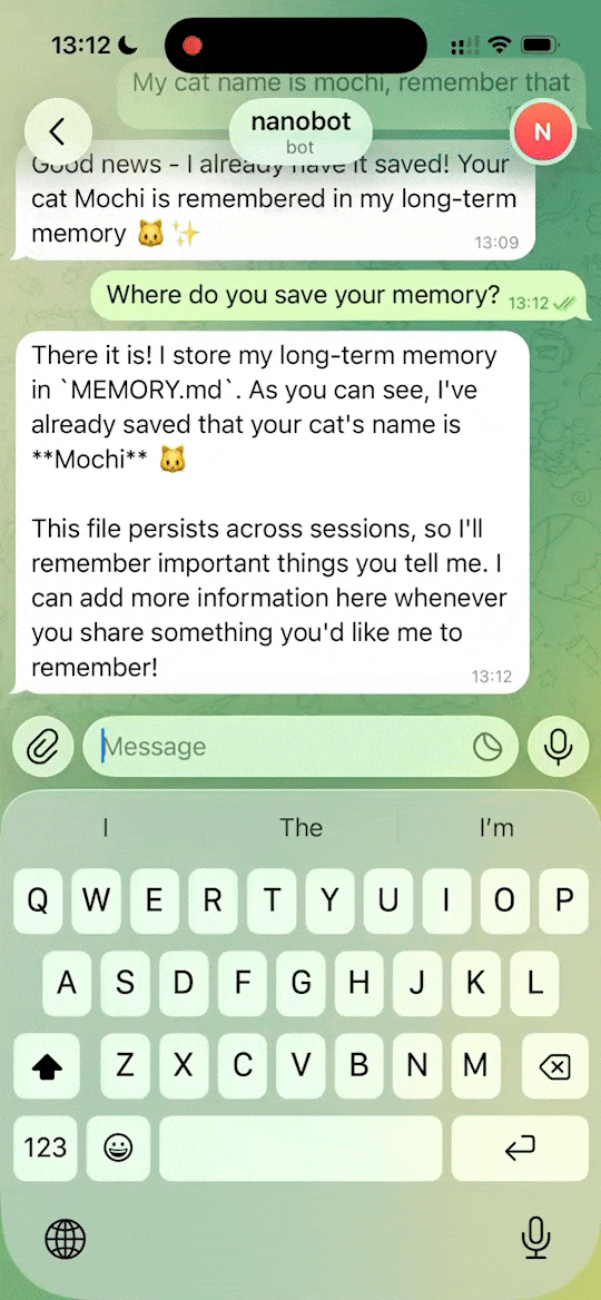 memory nanobot超轻量级个人AI助手-oimi分享美好数字生活